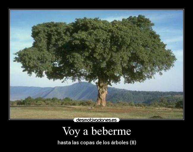 Voy a beberme - hasta las copas de los árboles (8)