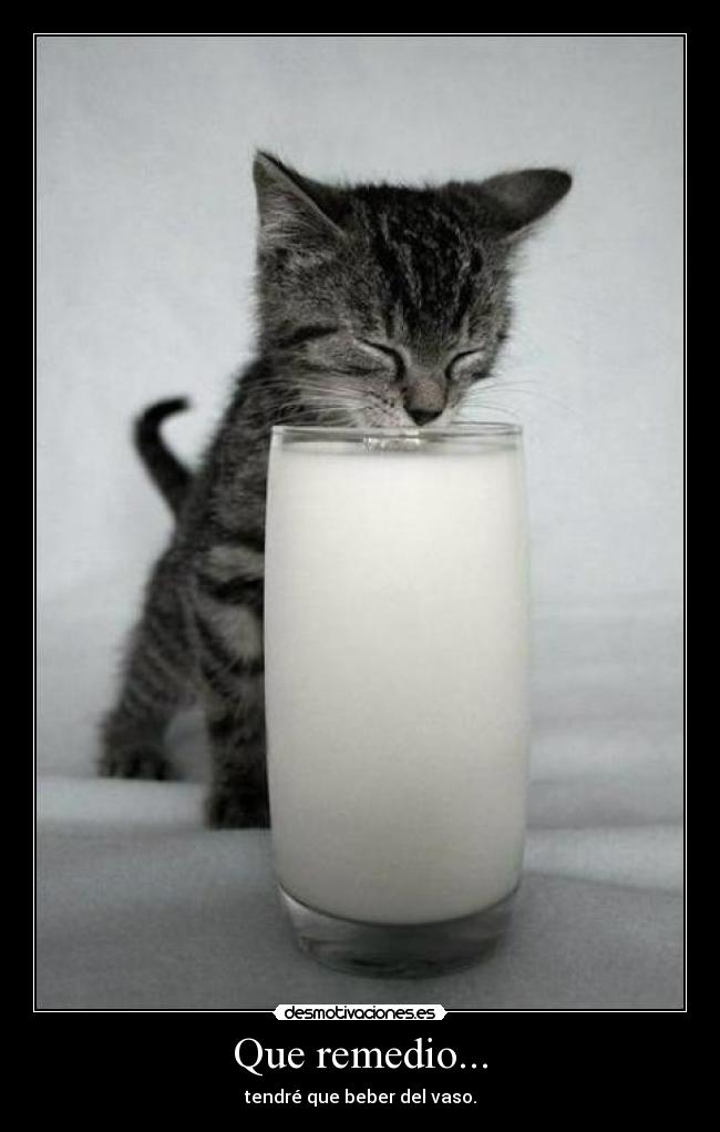 Que remedio... -