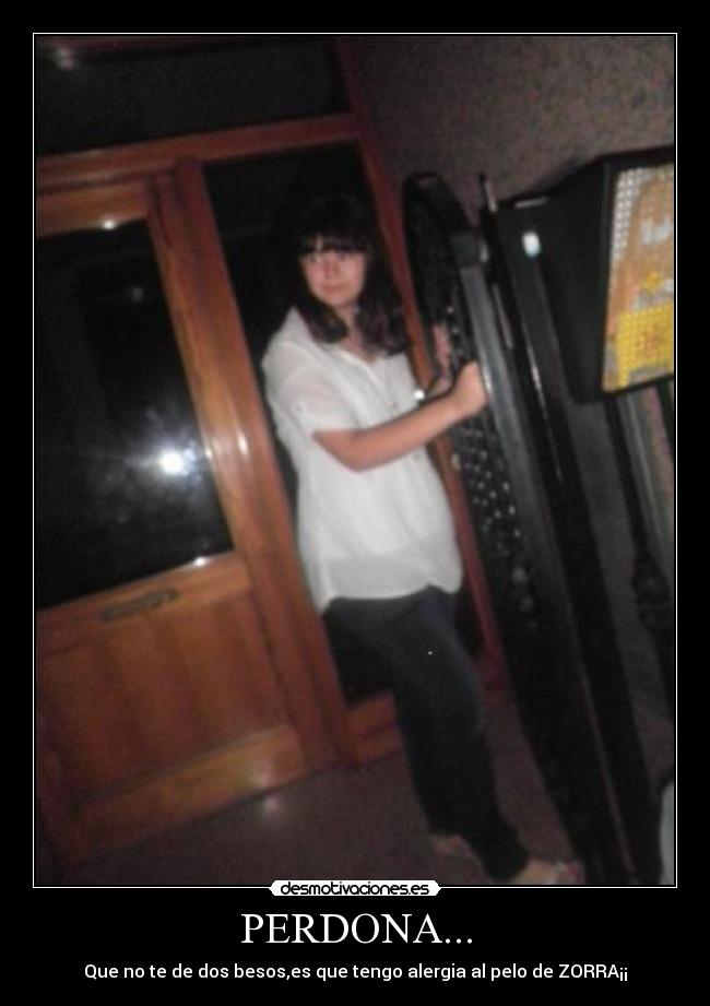 PERDONA... - 