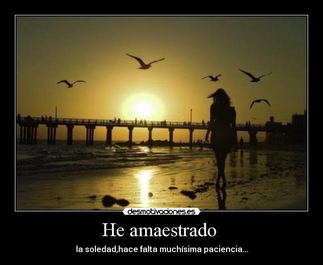 He amaestrado  - 