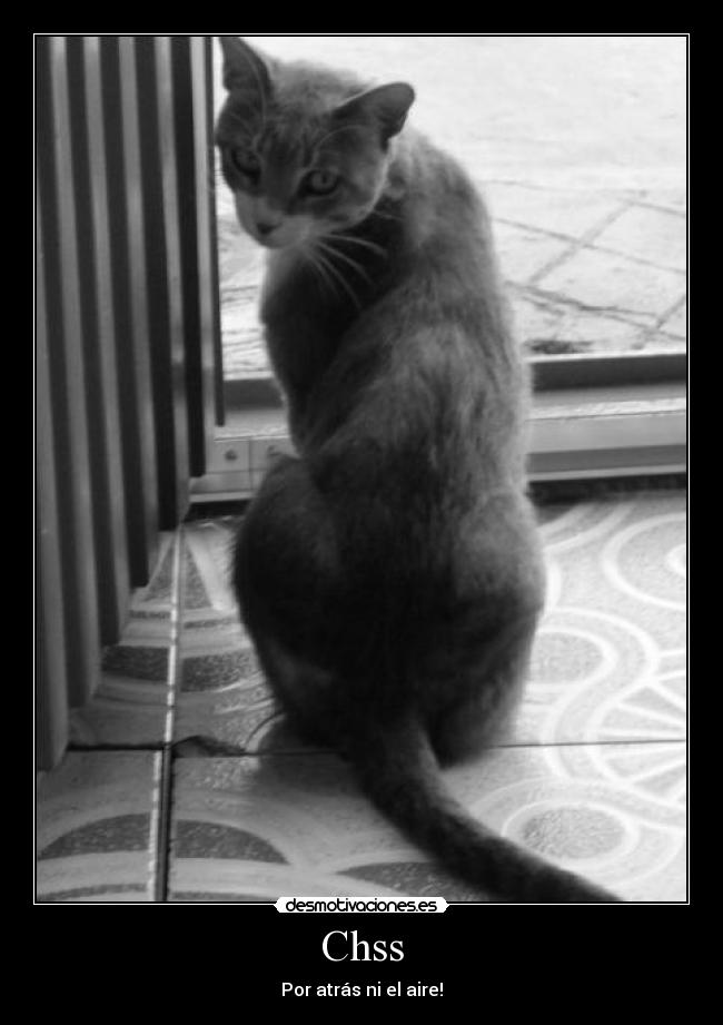 Chss - Por atrás ni el aire!