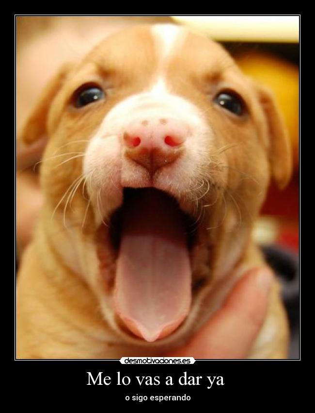 Me lo vas a dar ya -
