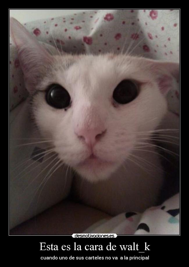 Esta es la cara de walt_k - cuando uno de sus carteles no va a la principal