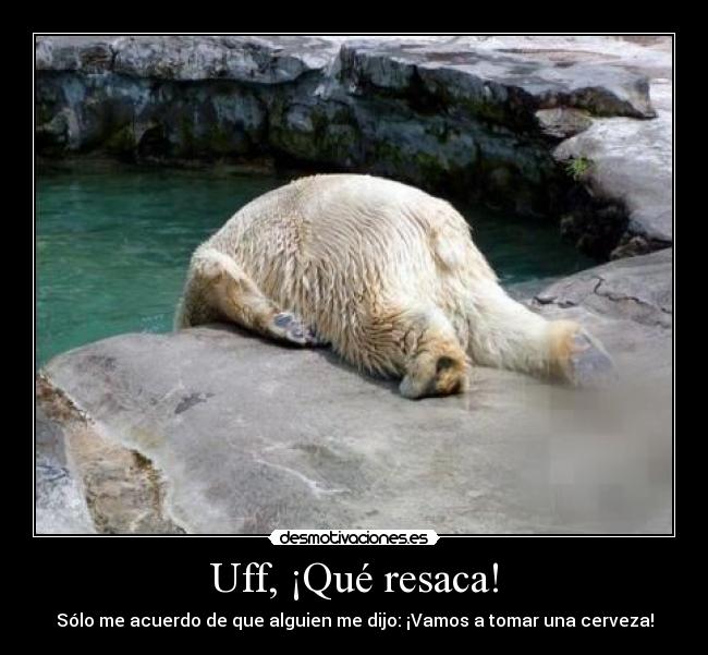 Uff, ¡Qué resaca! - Sólo me acuerdo de que alguien me dijo: ¡Vamos a tomar una cerveza!