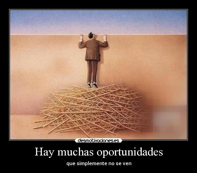 Hay muchas oportunidades - 