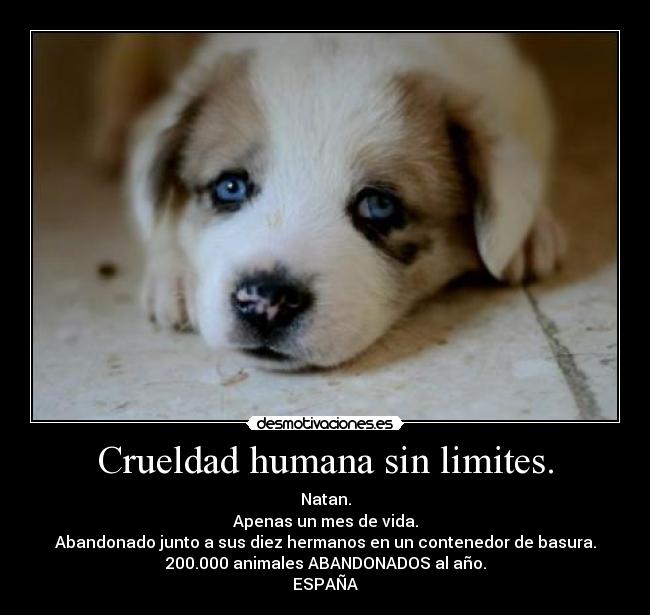 Crueldad humana sin limites. - 