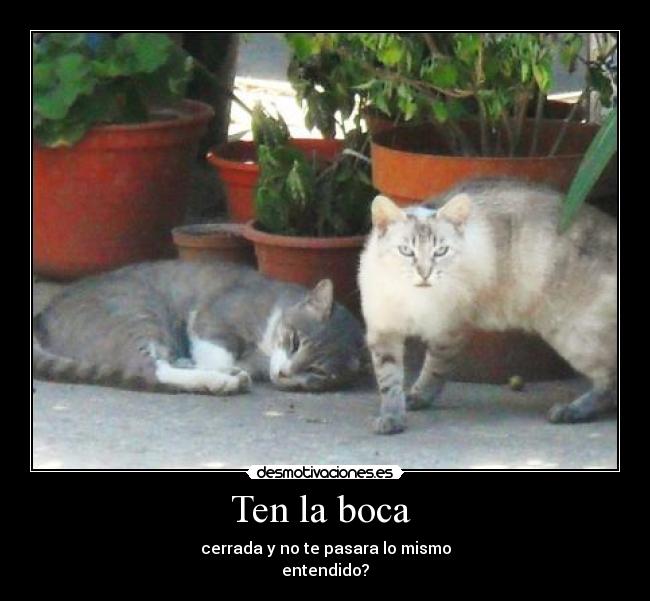Ten la boca  - cerrada y no te pasara lo mismo
entendido?
