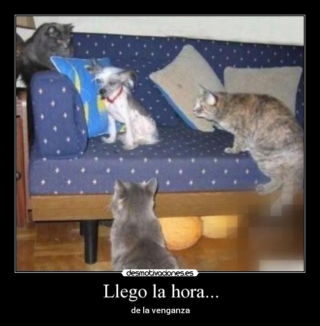 Llego la hora... - de la venganza