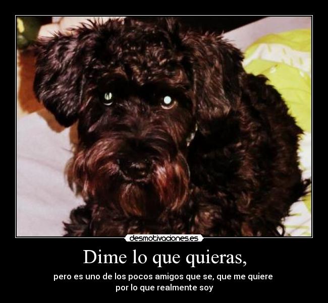 Dime lo que quieras, - 