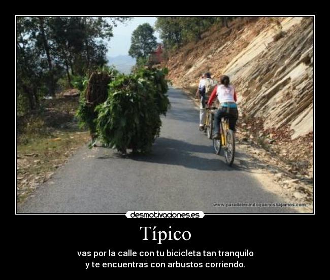 Típico - vas por la calle con tu bicicleta tan tranquilo
y te encuentras con arbustos corriendo.