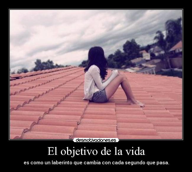 El objetivo de la vida - 