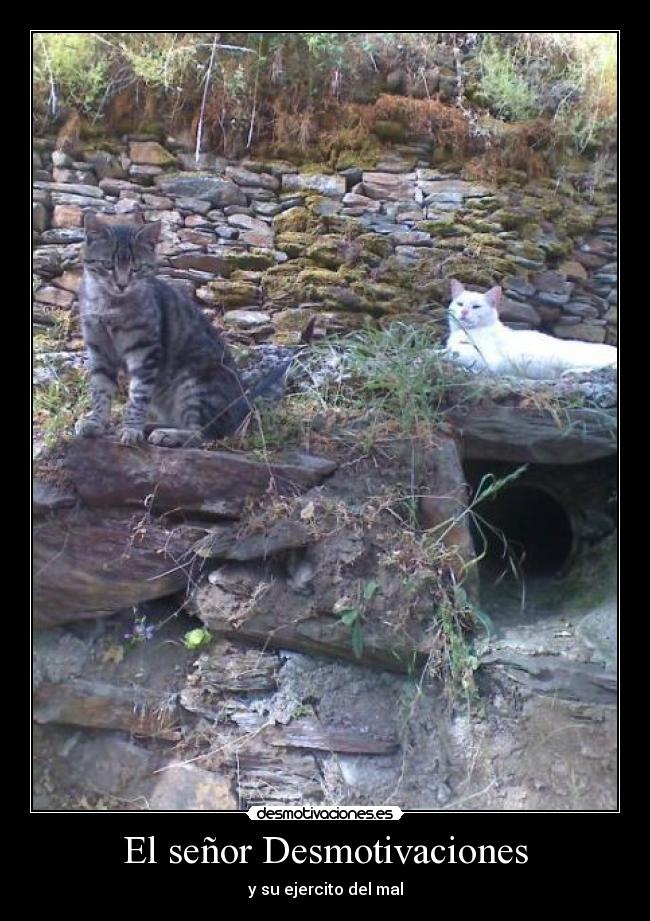 El señor Desmotivaciones - y su ejercito del mal