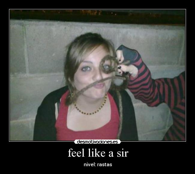 feel like a sir - nivel: rastas
