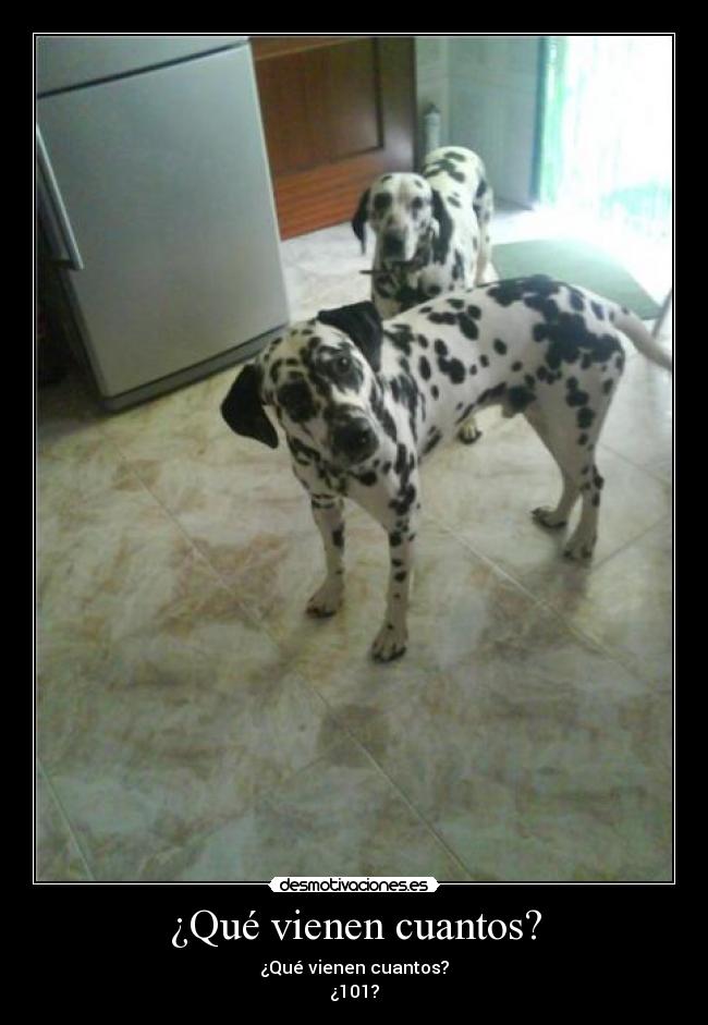 ¿Qué vienen cuantos? - ¿Qué vienen cuantos?
¿101?