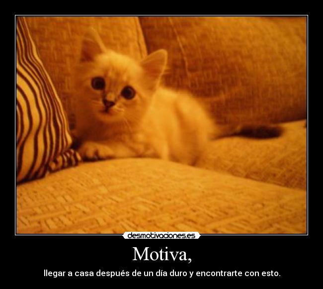 Motiva, - 