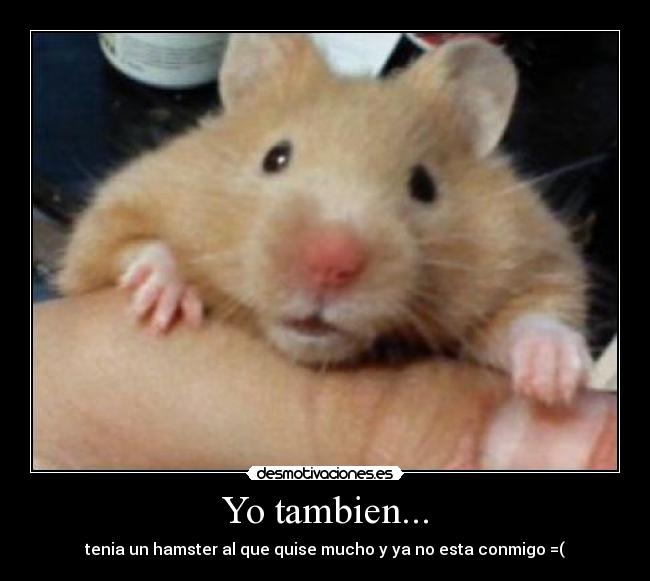 Yo tambien... - tenia un hamster al que quise mucho y ya no esta conmigo =(
