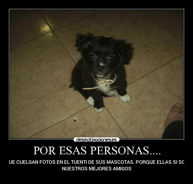 POR ESAS PERSONAS.... - QUE CUELGAN FOTOS EN EL TUENTI DE SUS MASCOTAS. PORQUE ELLAS SI SON
NUESTROS MEJORES AMIGOS