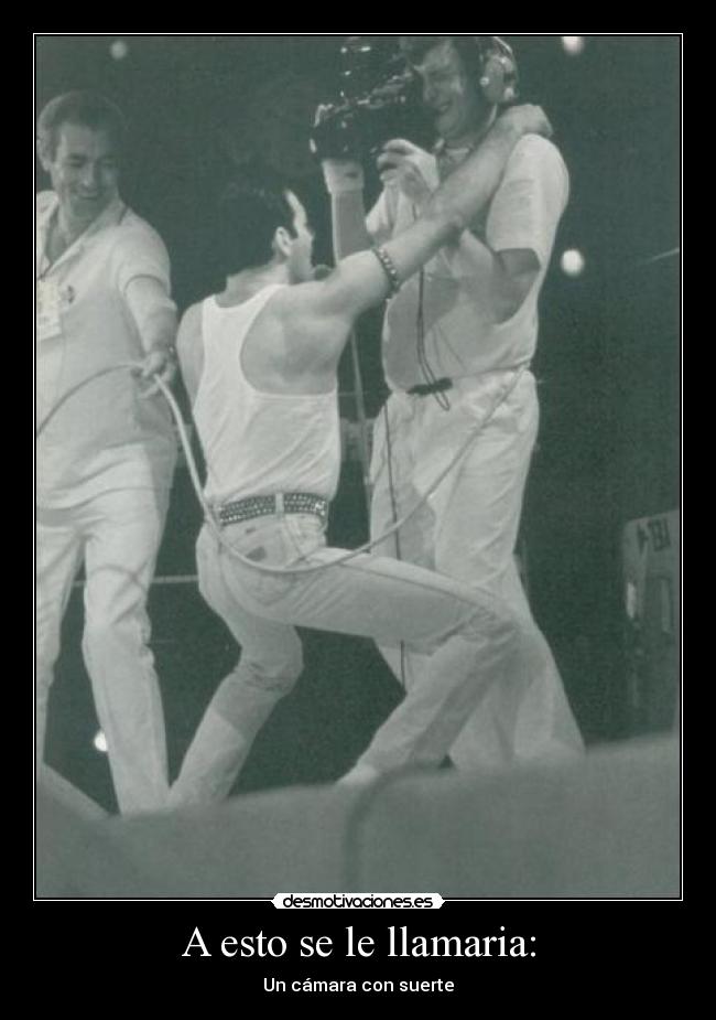 A esto se le llamaria: - Un cámara con suerte