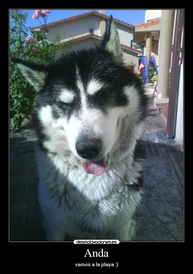 carteles anda desmotivaciones