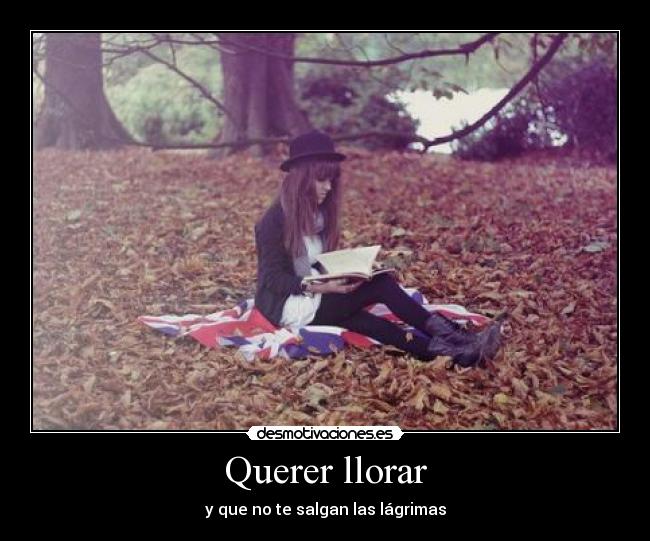 Querer llorar -