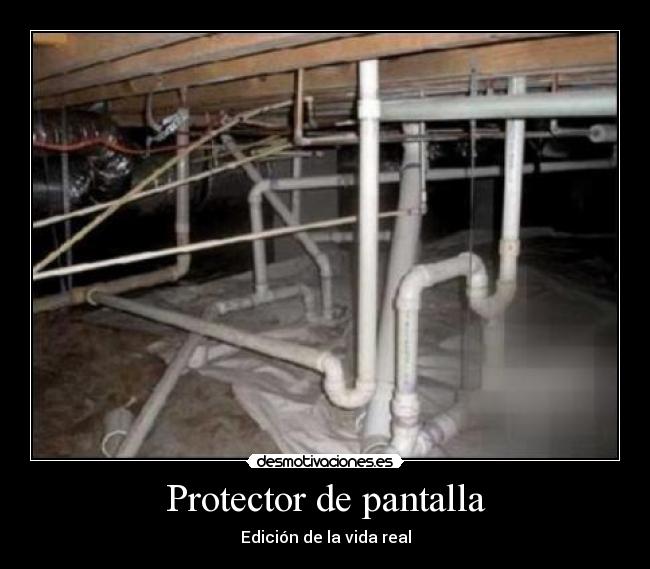 Protector de pantalla - Edición de la vida real