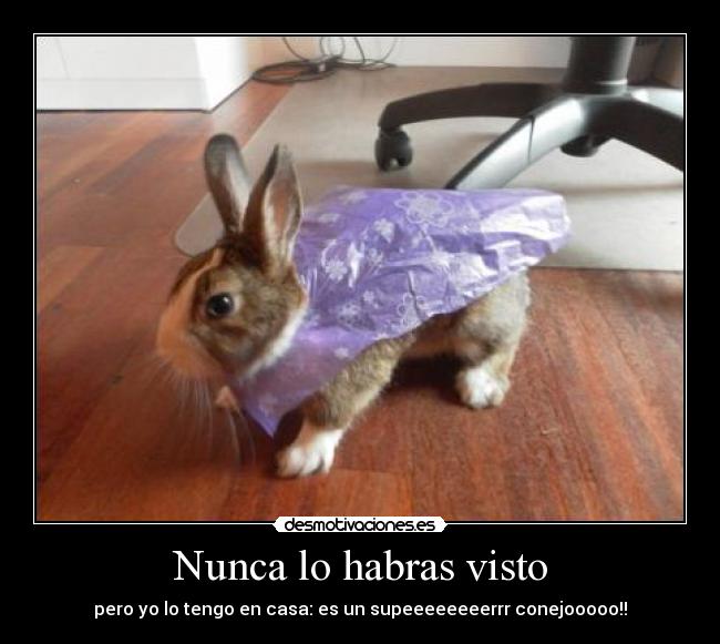 Nunca lo habras visto -