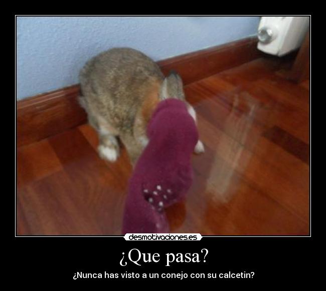 ¿Que pasa? -