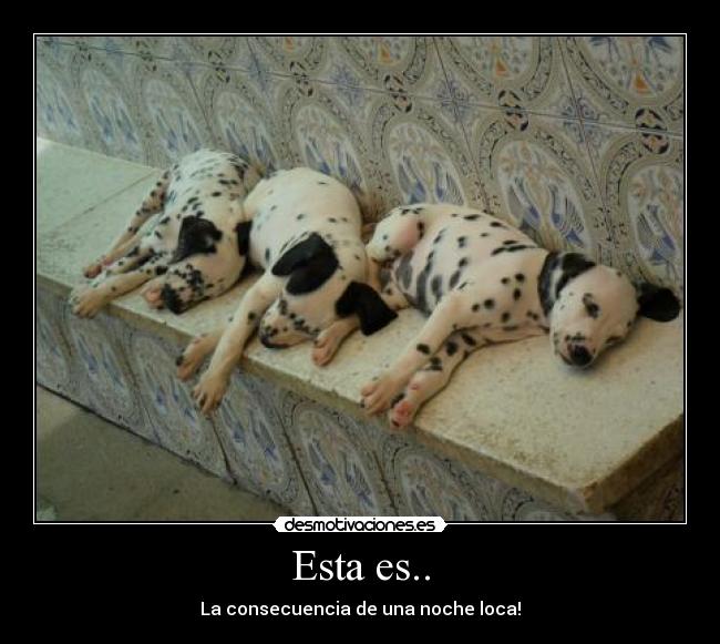 Esta es.. - La consecuencia de una noche loca!