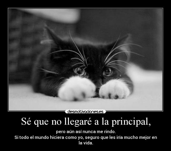 Sé que no llegaré a la principal, - pero aún así nunca me rindo.
Si todo el mundo hiciera como yo, seguro que les iría mucho mejor en la vida.