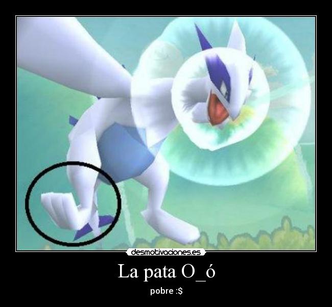 La pata O_ó - pobre :$