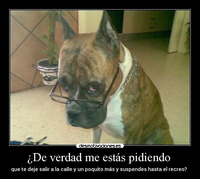 ¿De verdad me estás pidiendo  - 