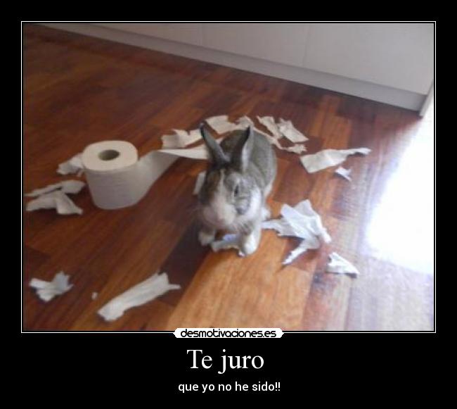 Te juro  - que yo no he sido!!