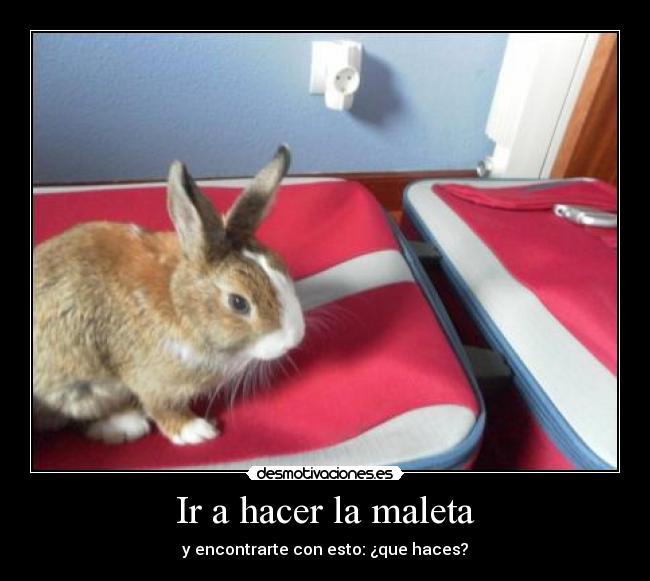 Ir a hacer la maleta -