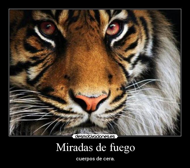 Miradas de fuego - cuerpos de cera.