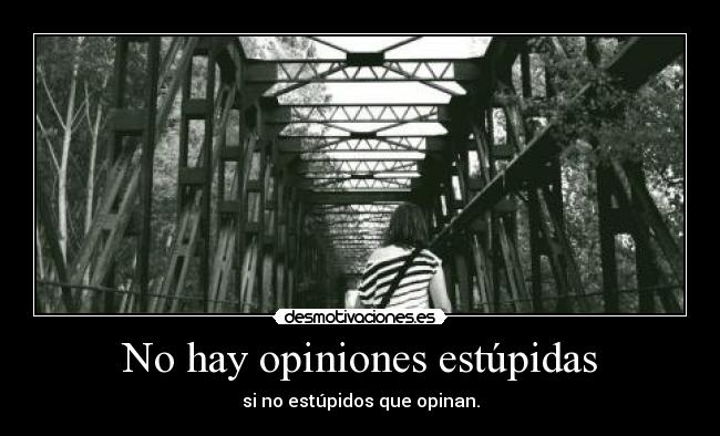 No hay opiniones estúpidas -