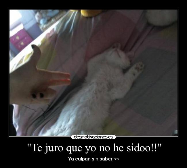 Te juro que yo no he sidoo!! - Ya culpan sin saber ¬¬
