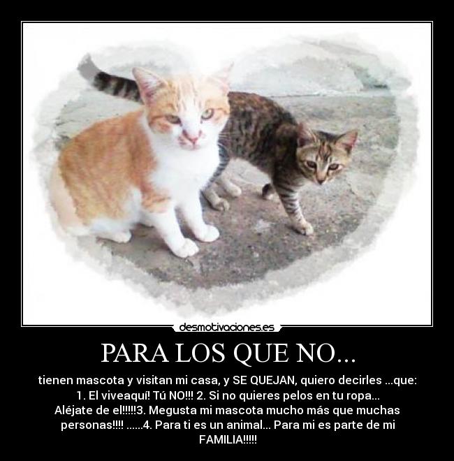 PARA LOS QUE NO... - tienen mascota y visitan mi casa, y SE QUEJAN, quiero decirles ...que:
1. El viveaquí! Tú NO!!! 2. Si no quieres pelos en tu ropa...
Aléjate de el!!!!!3. Megusta mi mascota mucho más que muchas
personas!!!! ......4. Para ti es un animal... Para mi es parte de mi
FAMILIA!!!!!