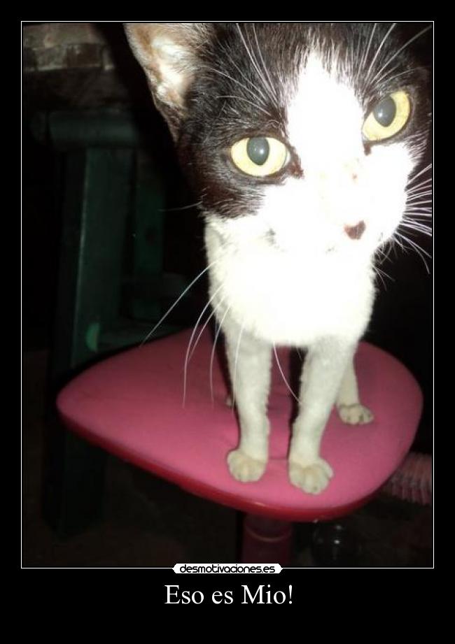 Eso es Mio! - 