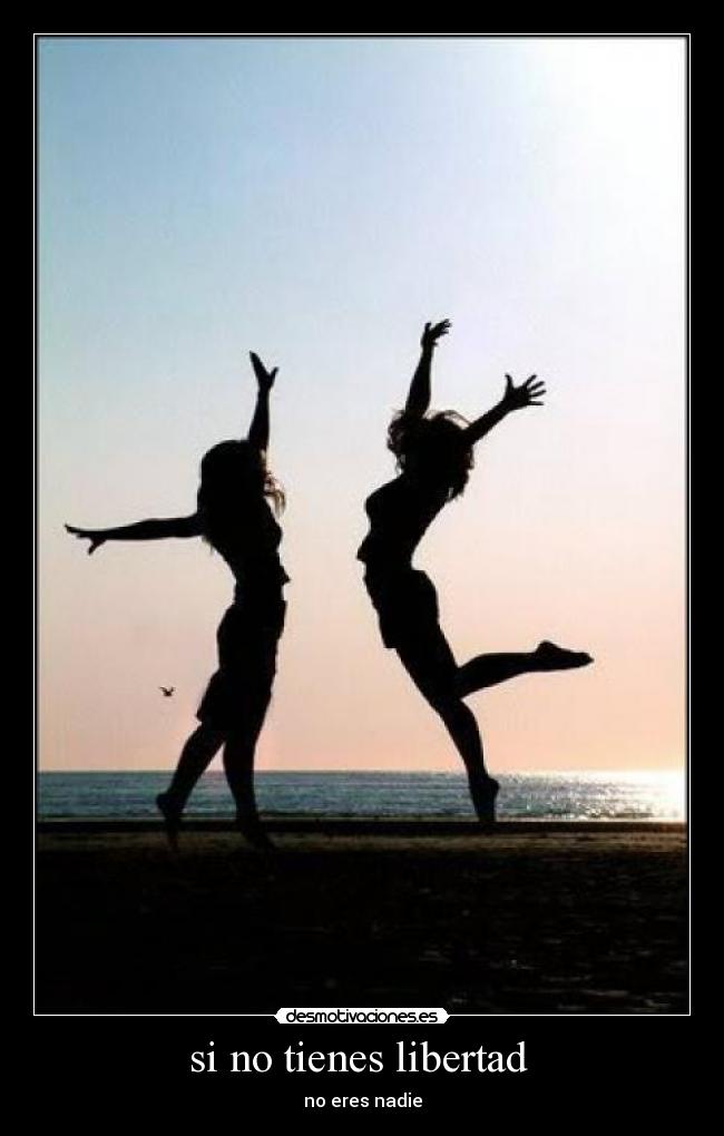 carteles libertad 34567 desmotivaciones