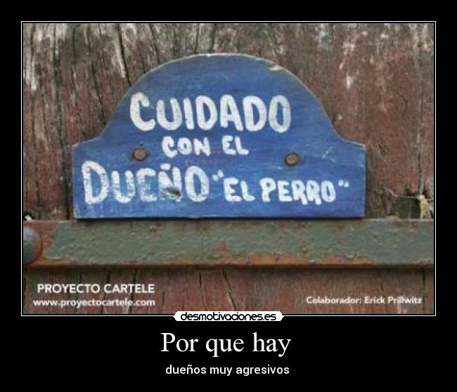 Por que hay - dueños muy agresivos