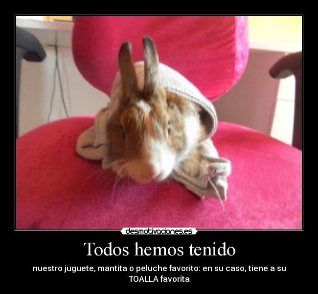 Todos hemos tenido -