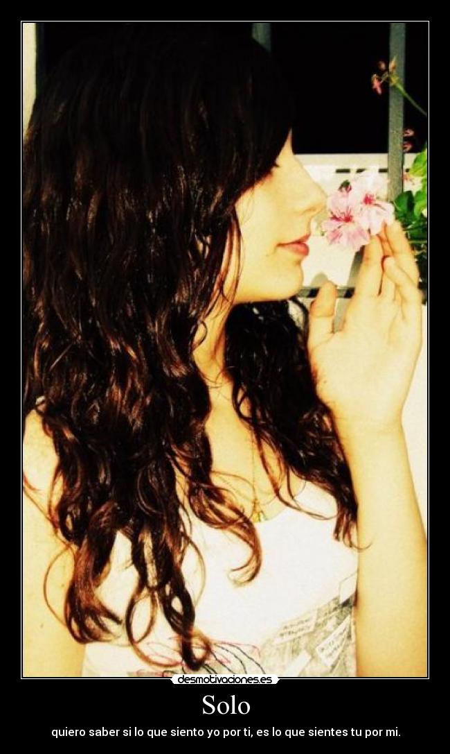 Solo - quiero saber si lo que siento yo por ti, es lo que sientes tu por mi.