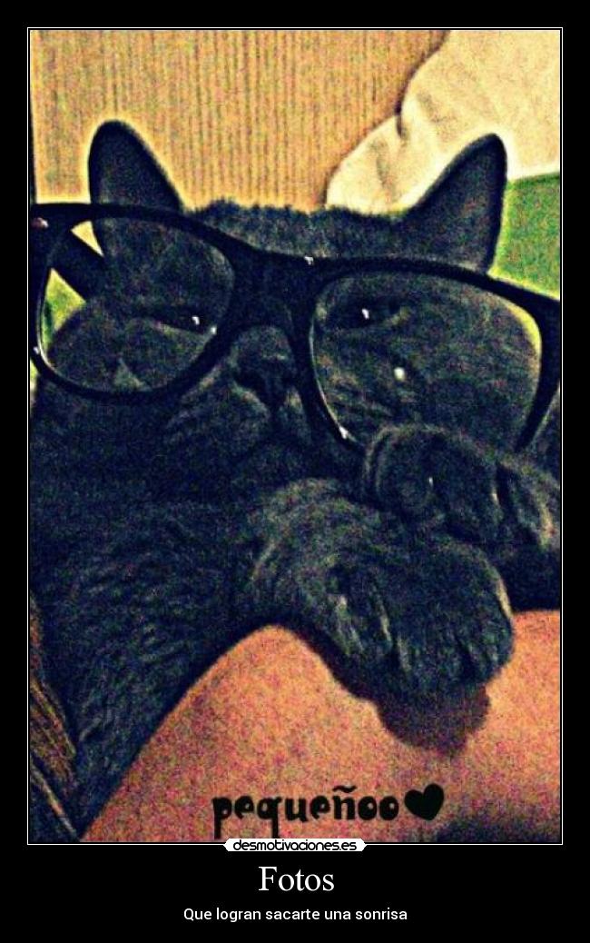 Fotos - Que logran sacarte una sonrisa