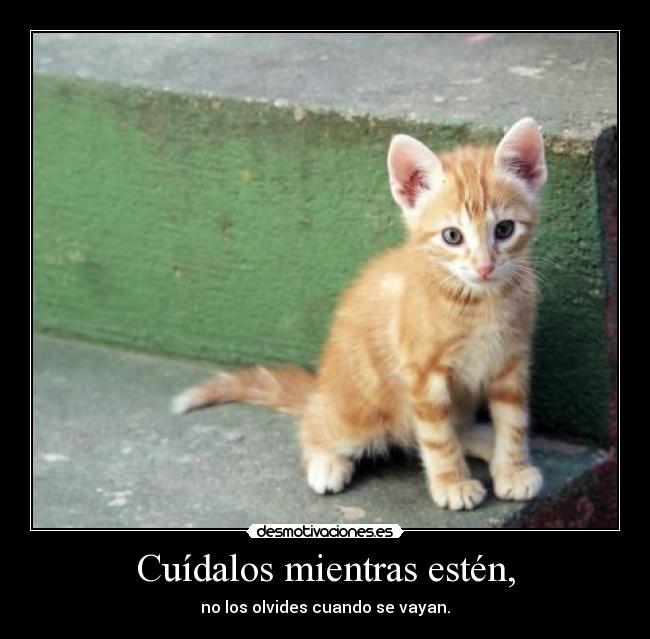 Cuídalos mientras estén, -