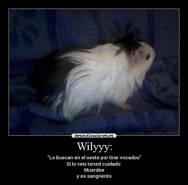 Wilyyy: - Lo buscan en el oeste por tirar vocados
Si lo veis tened cuidado 
Muerdee
y es sangriento