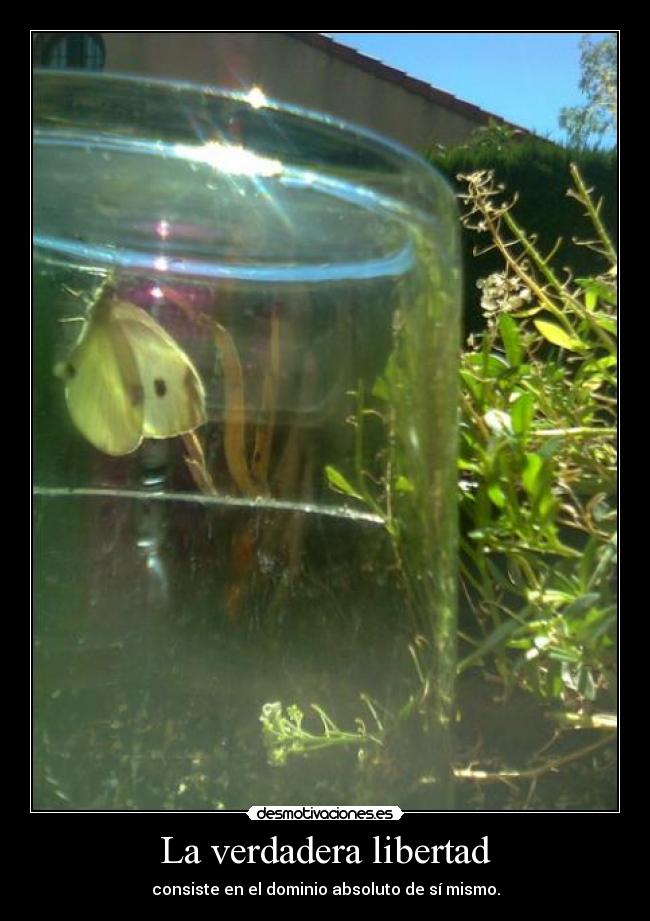 La verdadera libertad - consiste en el dominio absoluto de sí mismo.