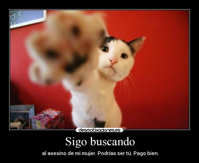 Sigo buscando -