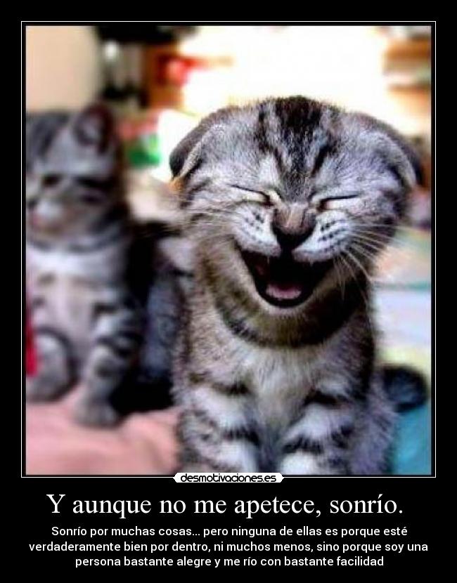 carteles sonrio desmotivaciones