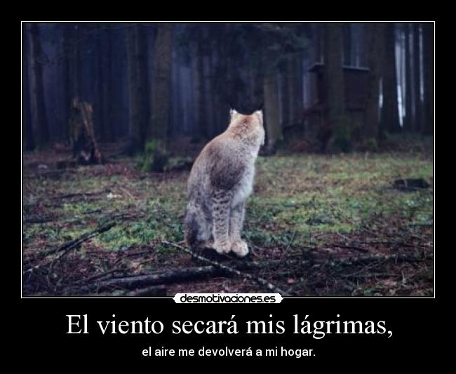 El viento secará mis lágrimas, - el aire me devolverá a mi hogar.
