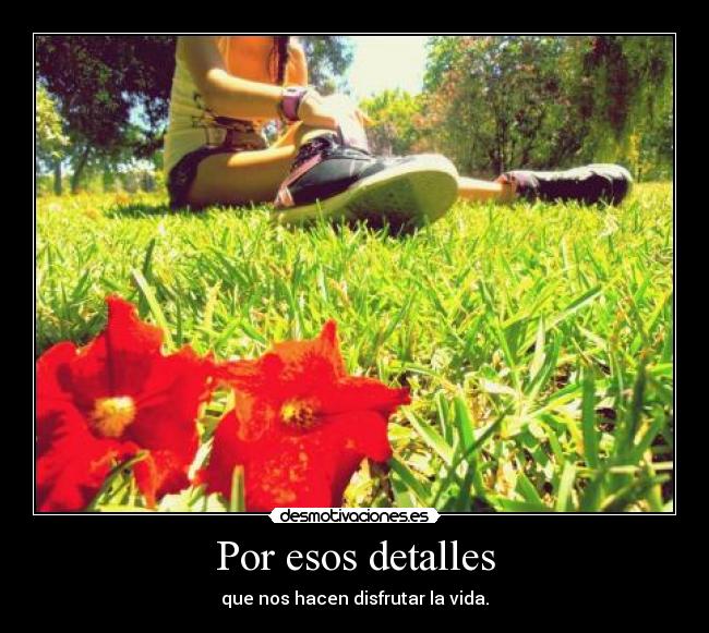 Por esos detalles - 
